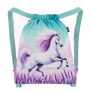 Sáček BAGMASTER LUMI 26 B